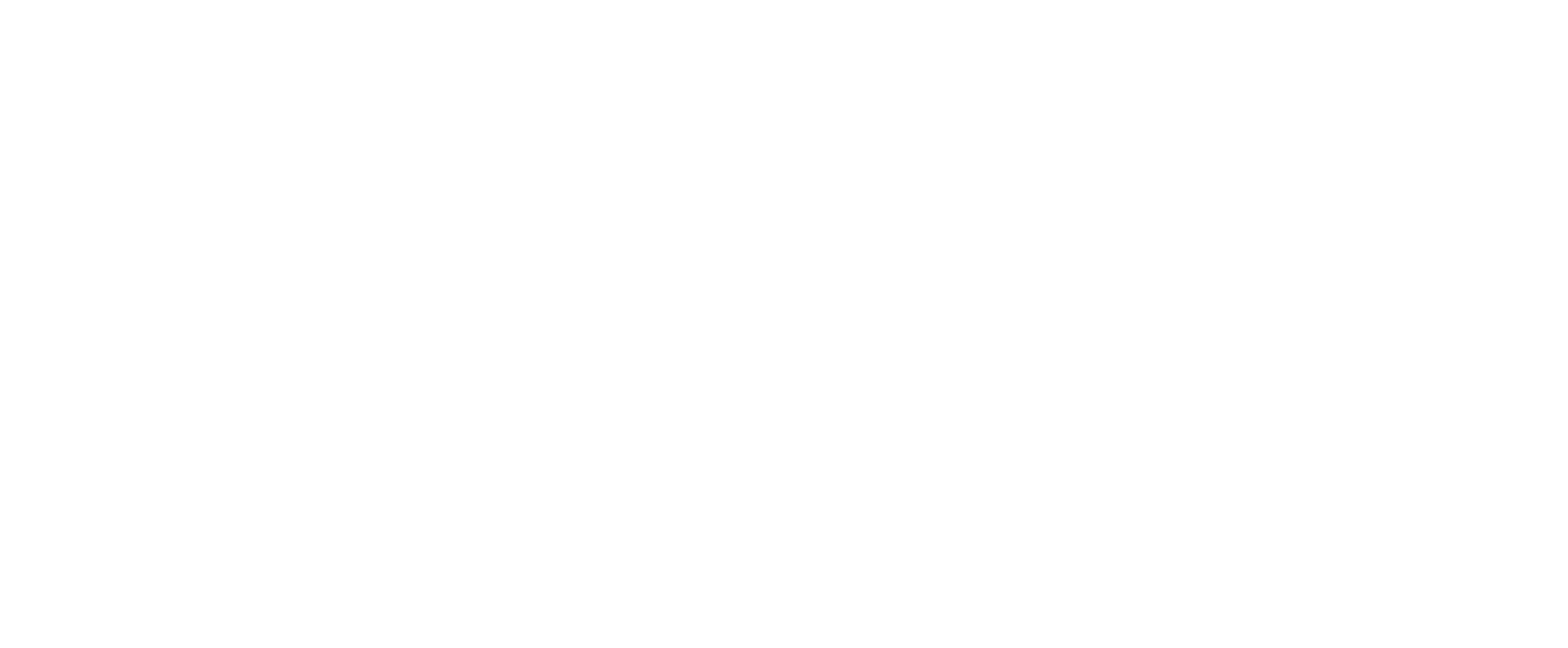 DS ARABIA LOGO